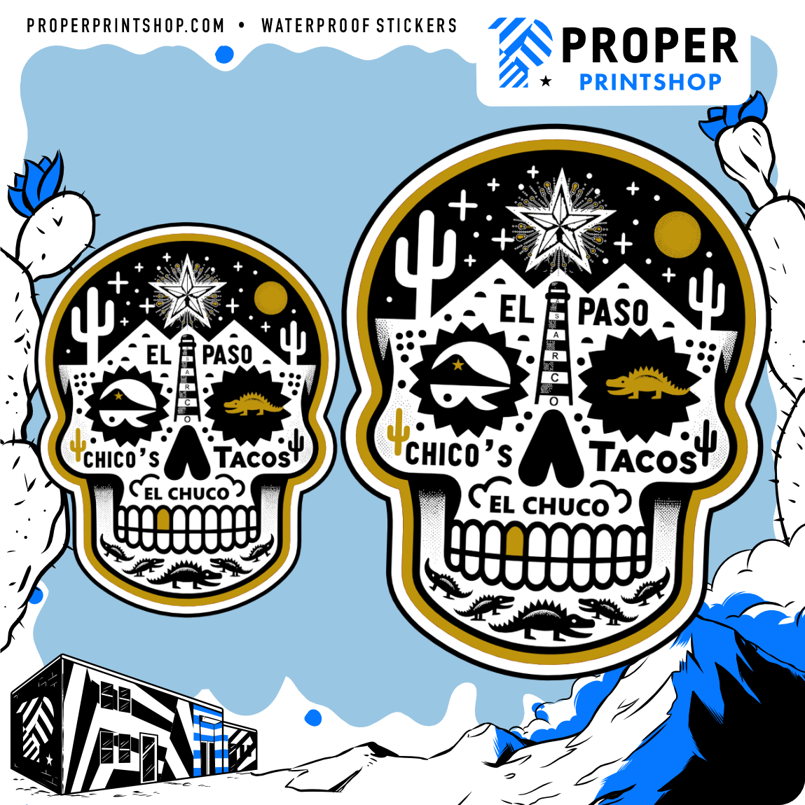 Chicos Skull Sticker