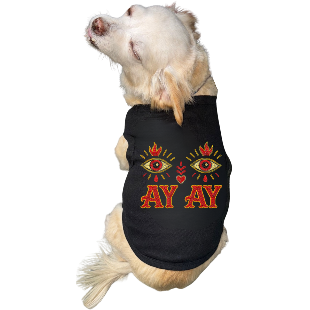 Ay-Eye Jacket